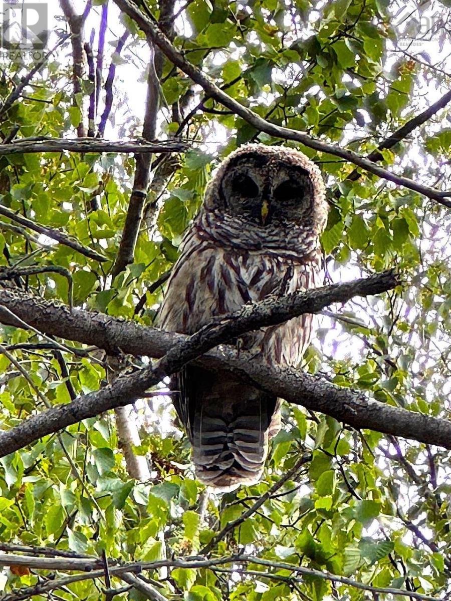 5735 West Bay Rd Property Photo 16