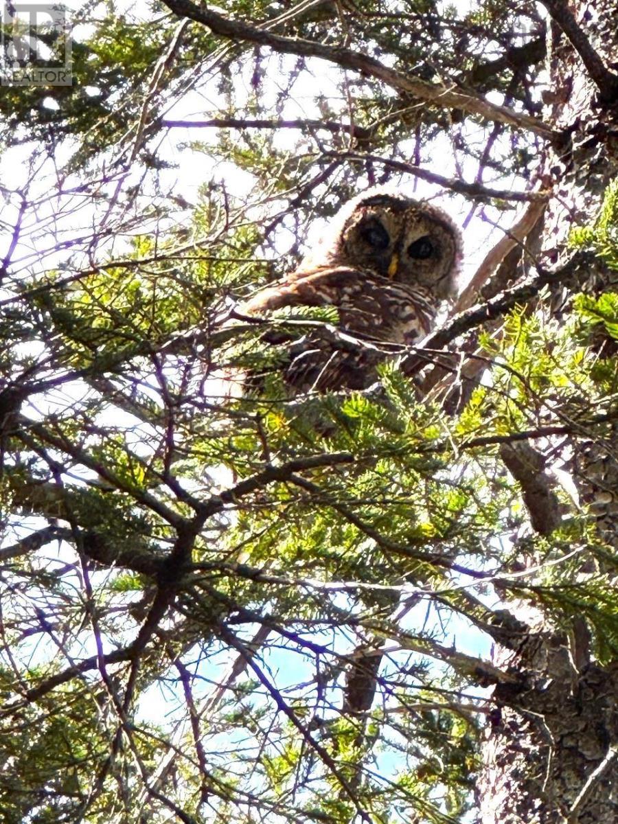 5735 West Bay Rd Property Photo 18