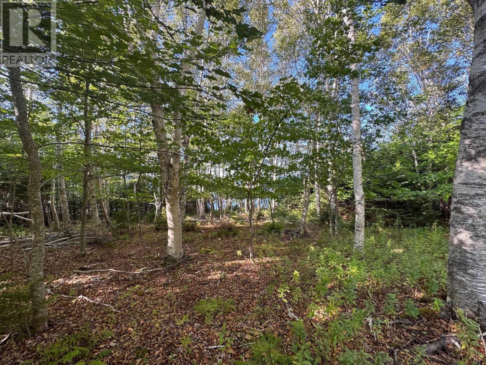 5735 West Bay Rd Property Photo 28