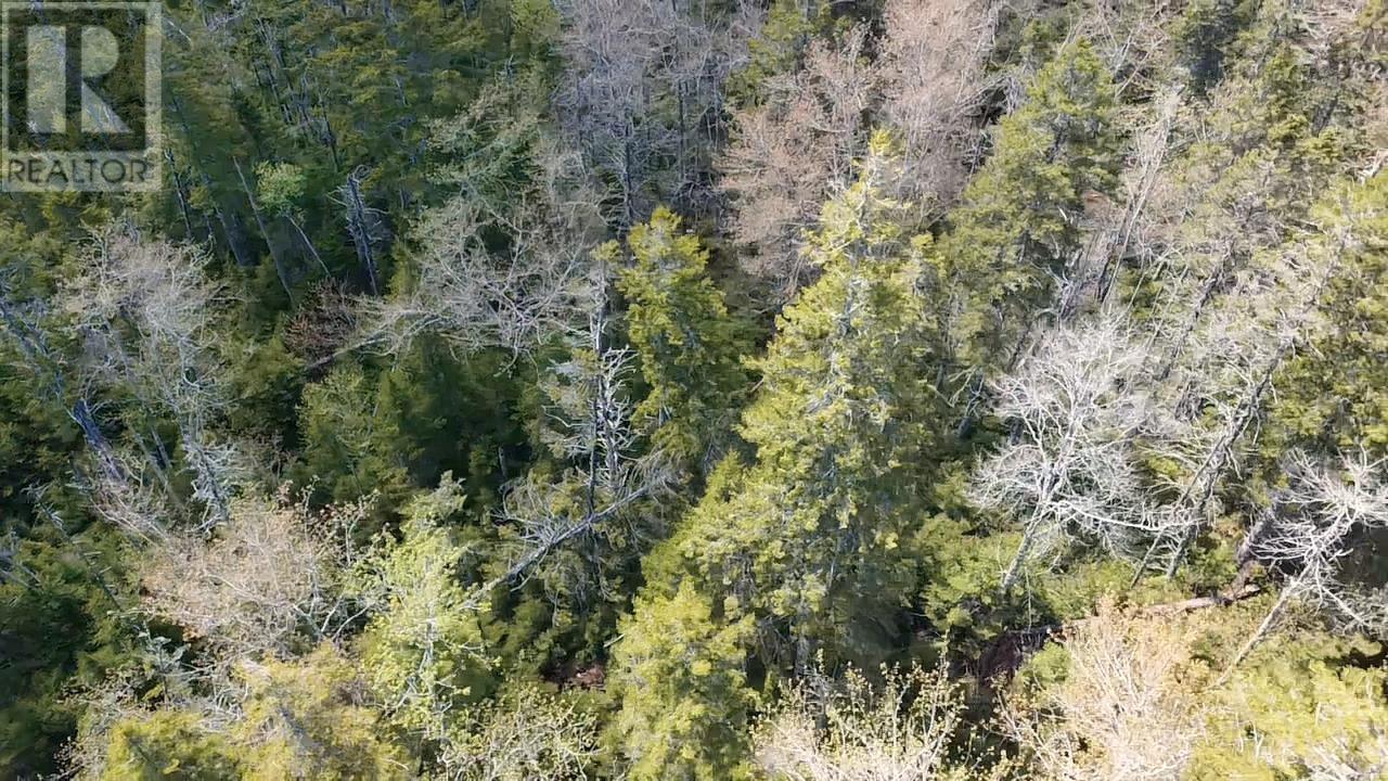 17 Deeridge Road Property Photo 11