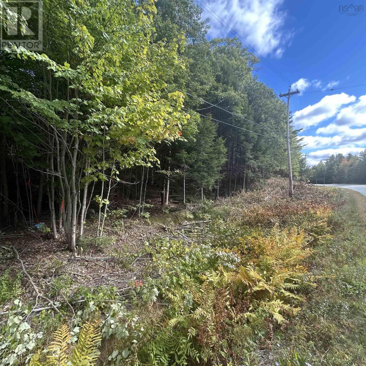 Lot 25-2 Conquerall Mills Road Property Photo 1