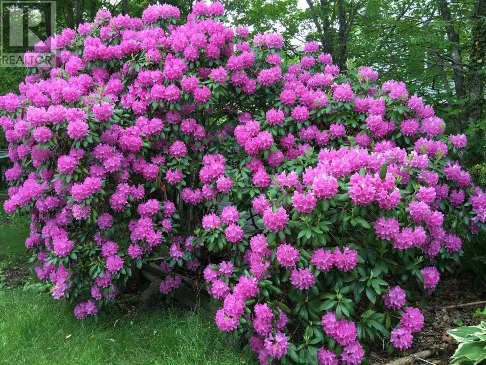 11 Glenbourne Court Property Photo 37