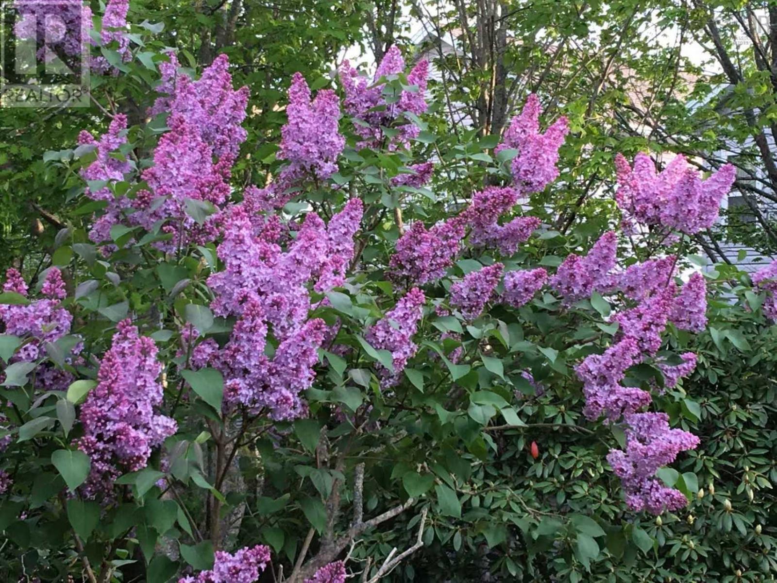 11 Glenbourne Court Property Photo 38