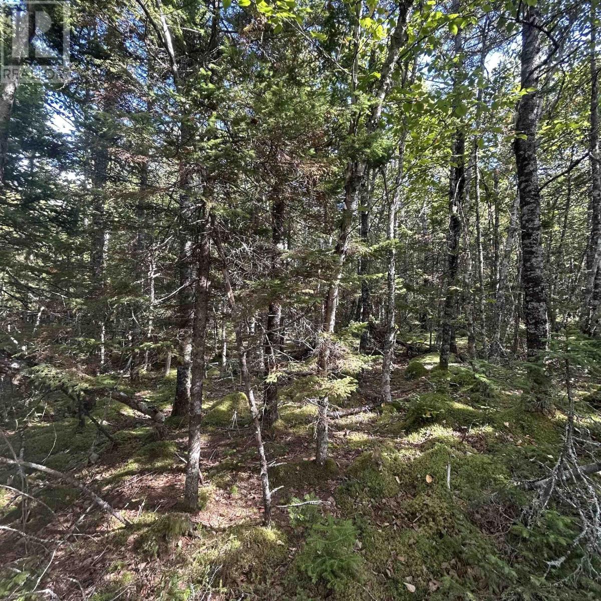 Lot 6-f-a Middle Road Property Photo 7