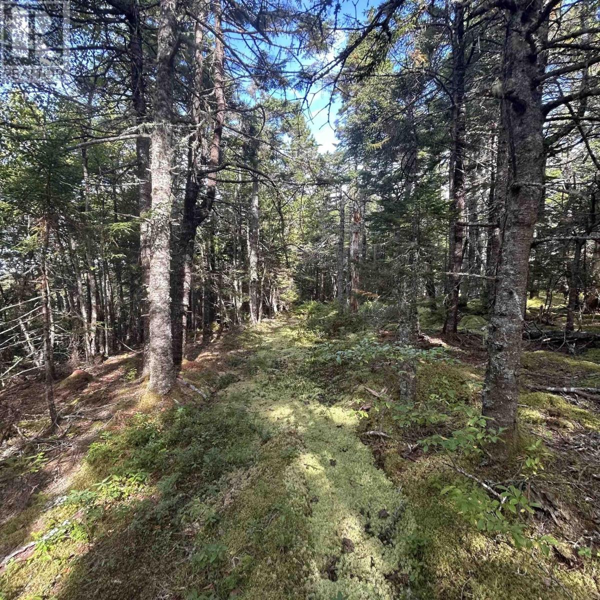 Lot 6-f-a Middle Road Property Photo 8