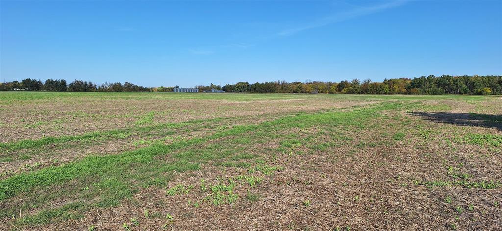 202525912 Property Photo 8