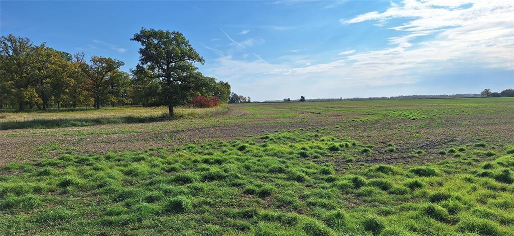 202525912 Property Photo 10