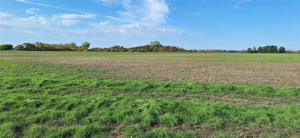 202525912 Property Photo 12