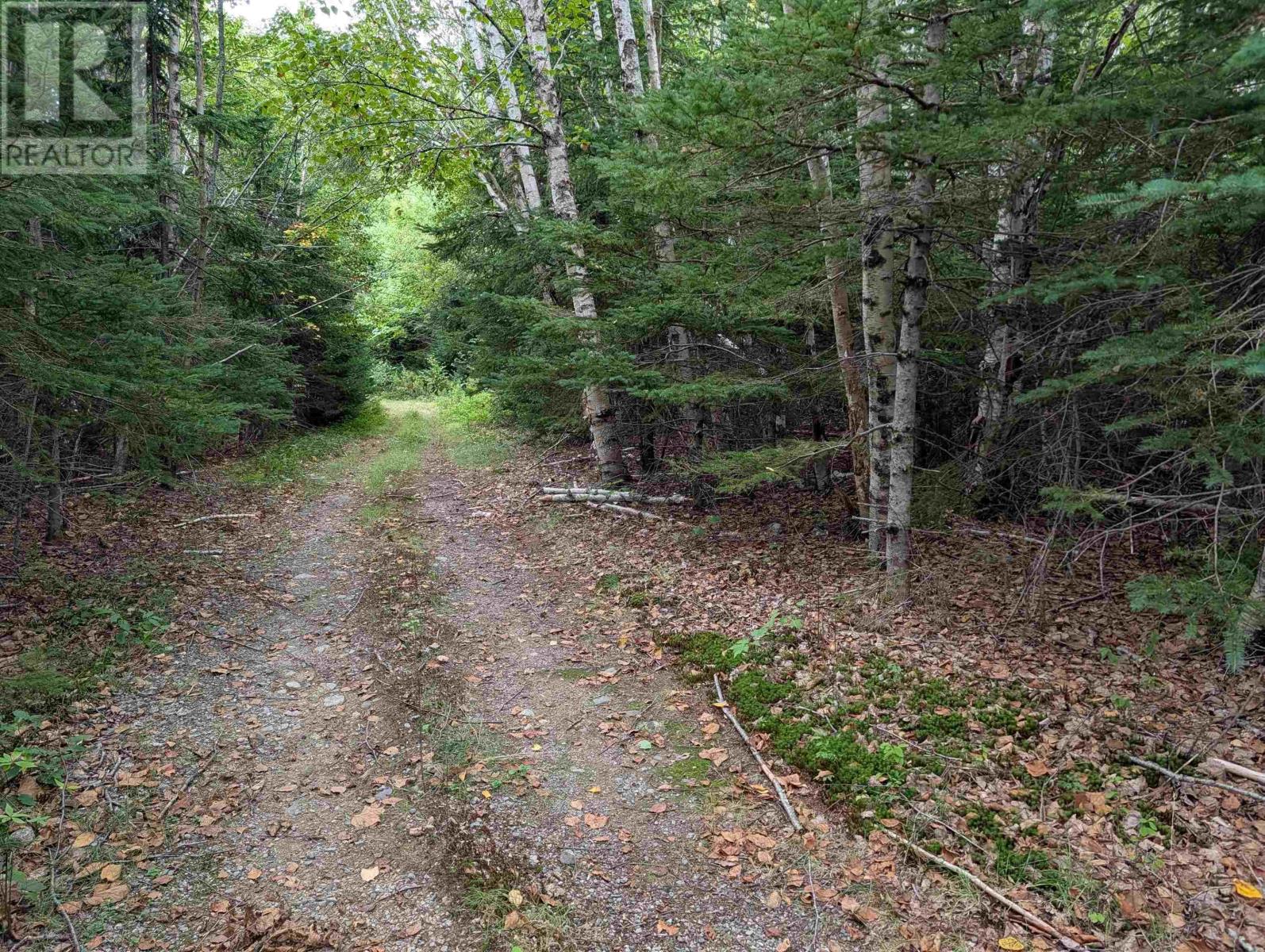 Lot 2 Highway 316 Property Photo 2
