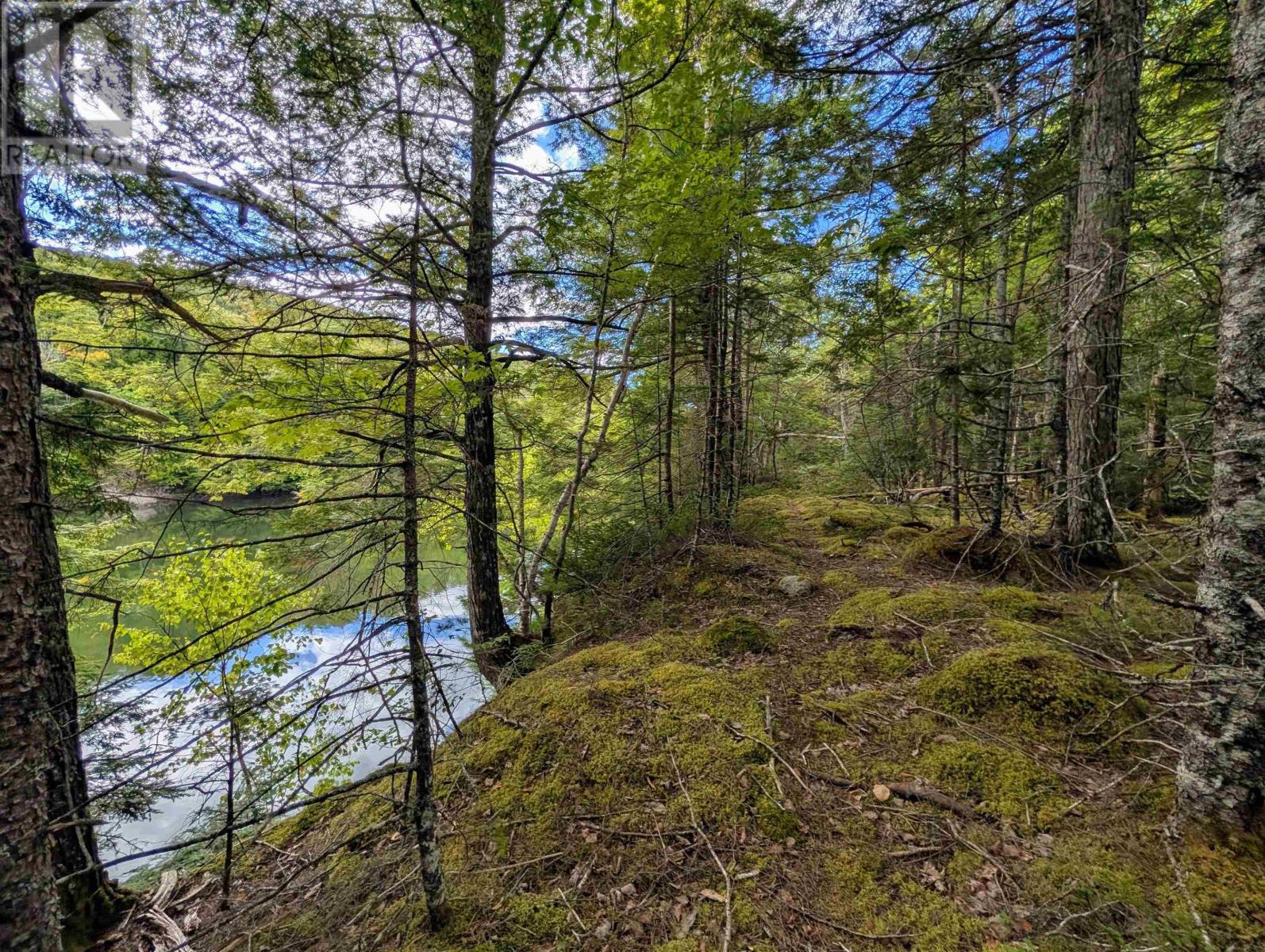 Lot 2 Highway 316 Property Photo 3