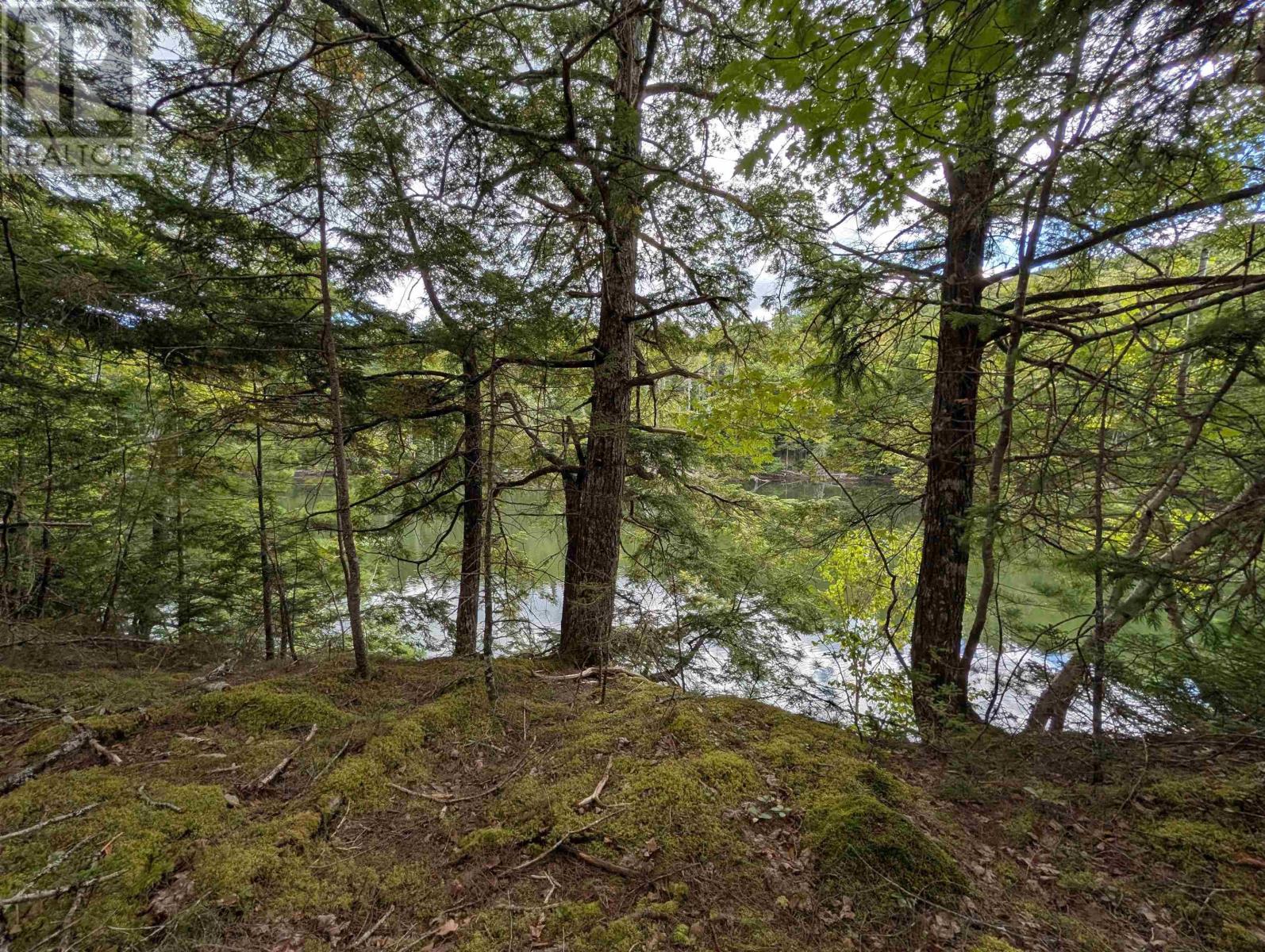 Lot 2 Highway 316 Property Photo 4