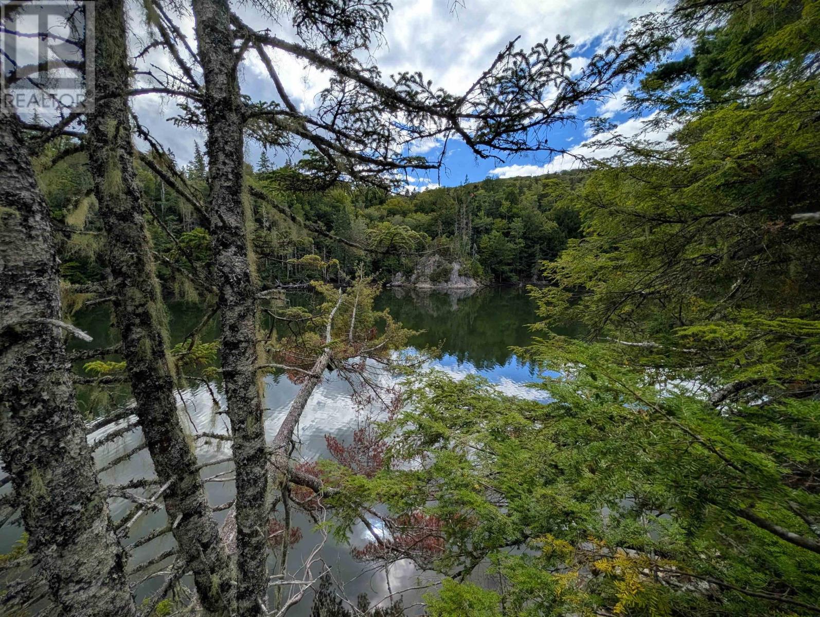 Lot 2 Highway 316 Property Photo 6