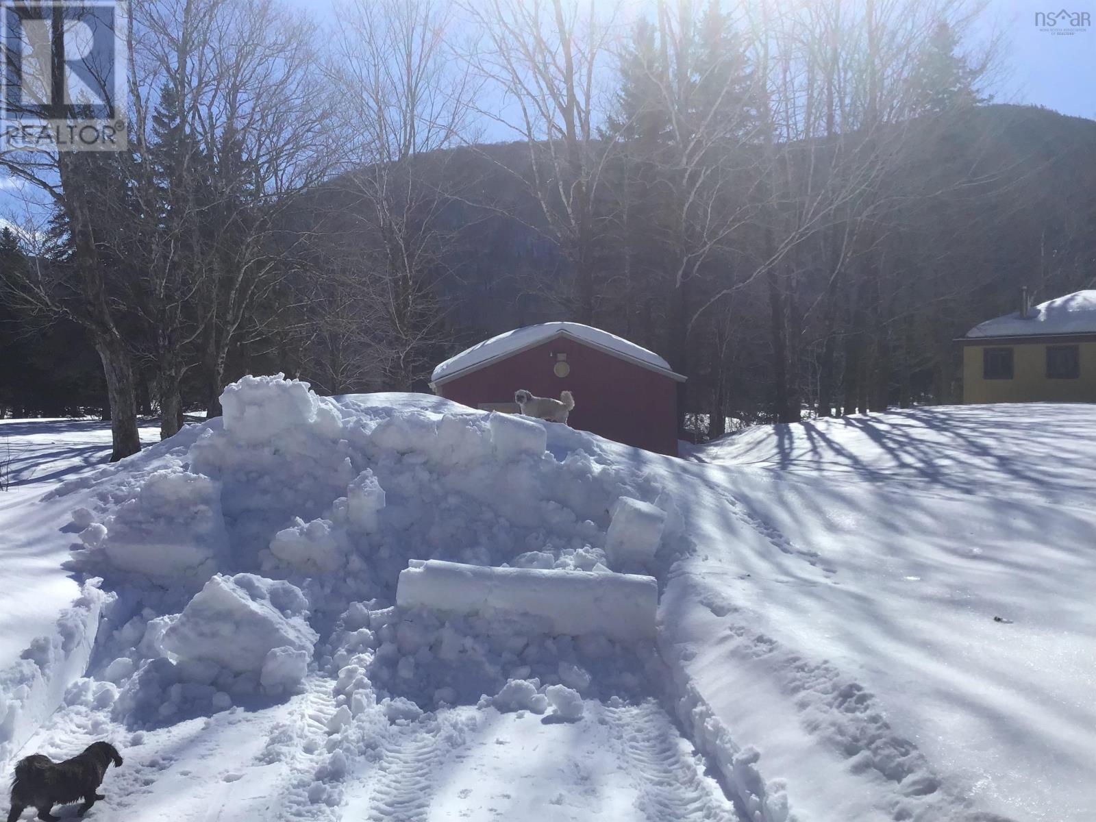 Big Intervale Road Property Photo 18