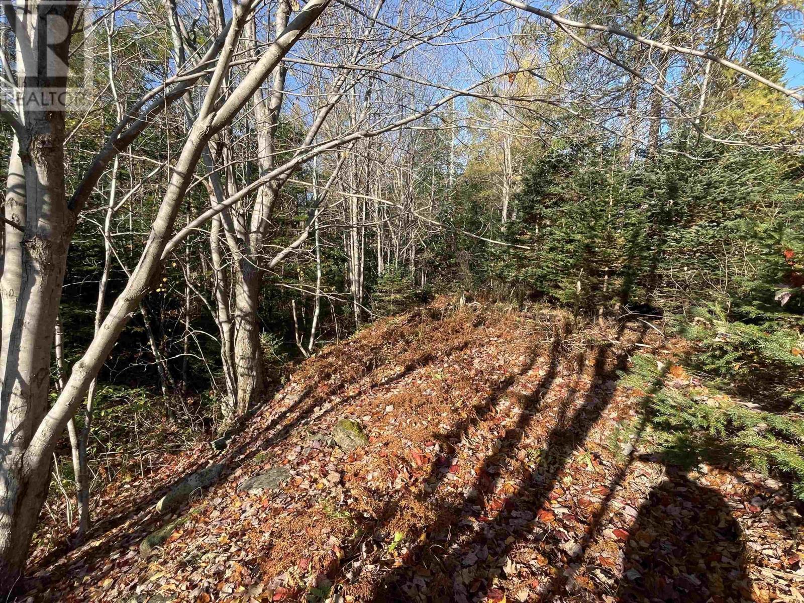 Mosher Road Property Photo 1