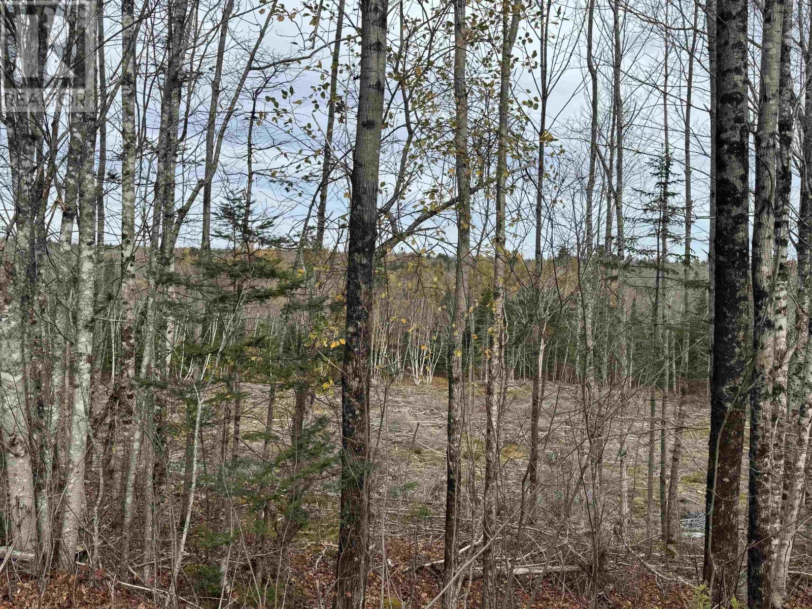 Feener Road Property Photo 4