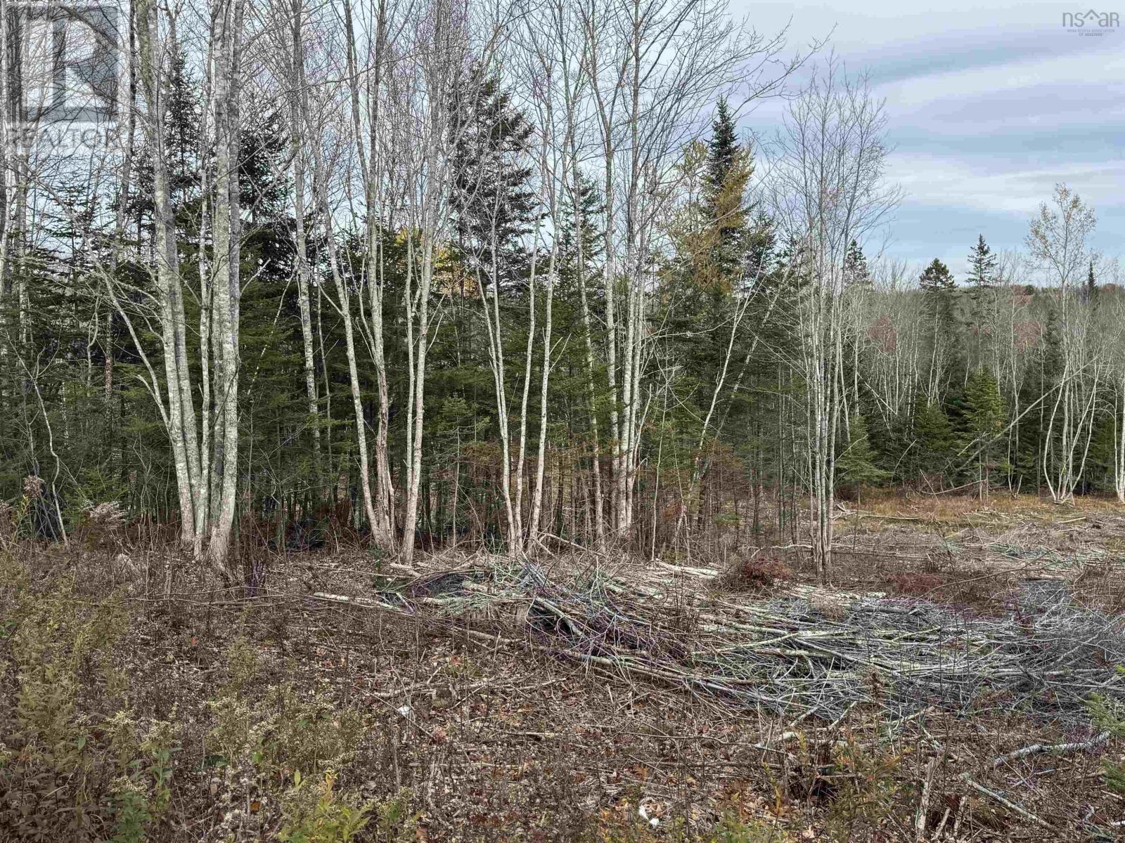 Feener Road Property Photo 8