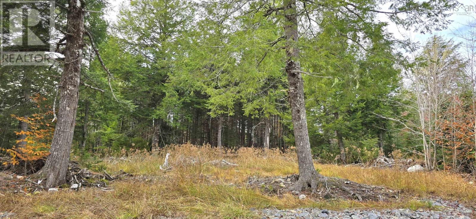 Lot 24 Russells Cove Road Property Photo 4