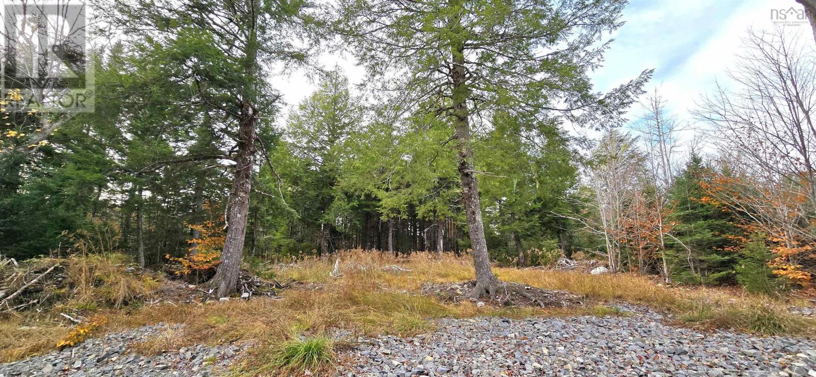 Lot 24 Russells Cove Road Property Photo 5