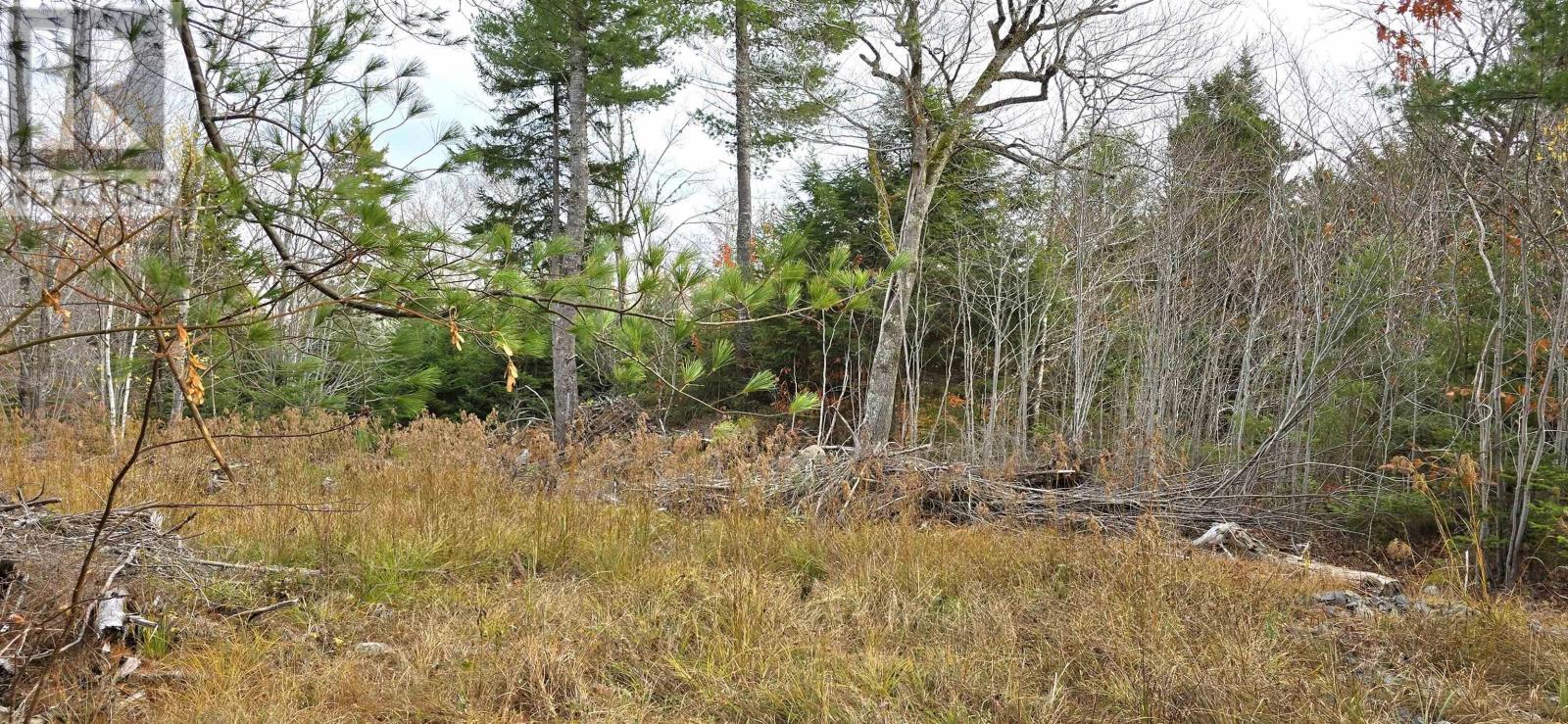 Lot 24 Russells Cove Road Property Photo 10