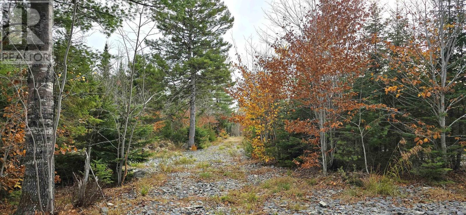 Lot 24 Russells Cove Road Property Photo 11