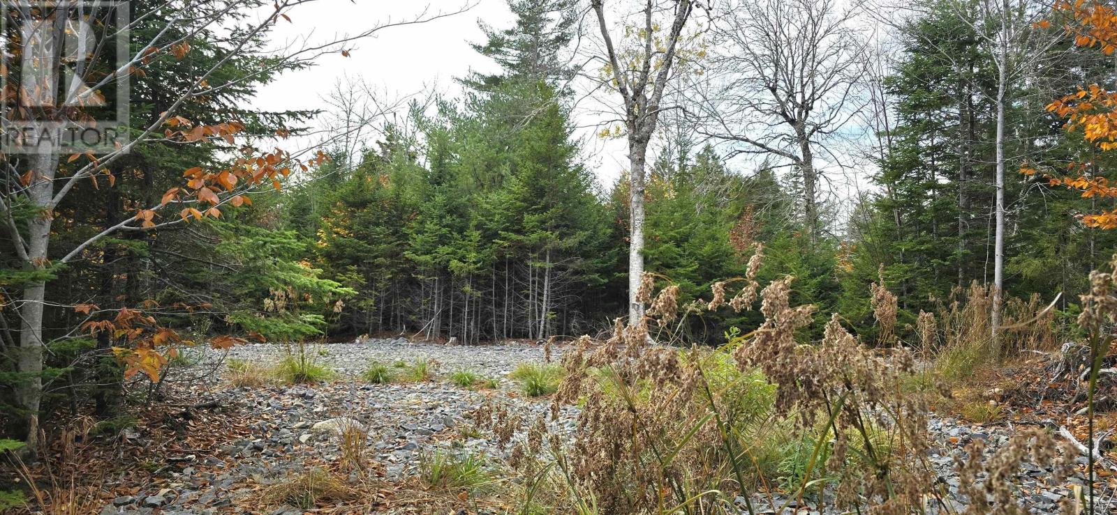 Lot 24 Russells Cove Road Property Photo 13