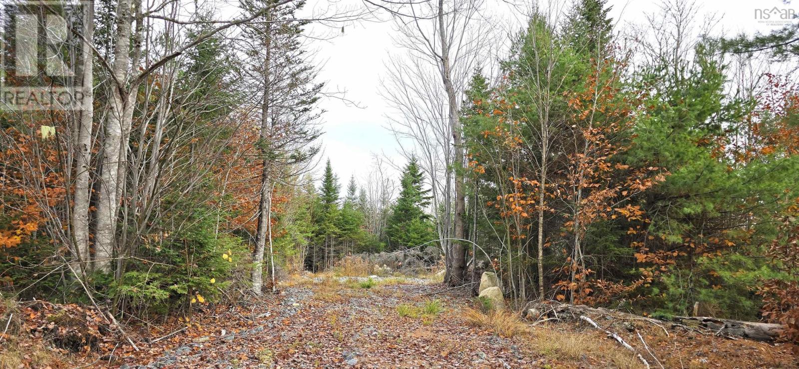 Lot 24 Russells Cove Road Property Photo 16