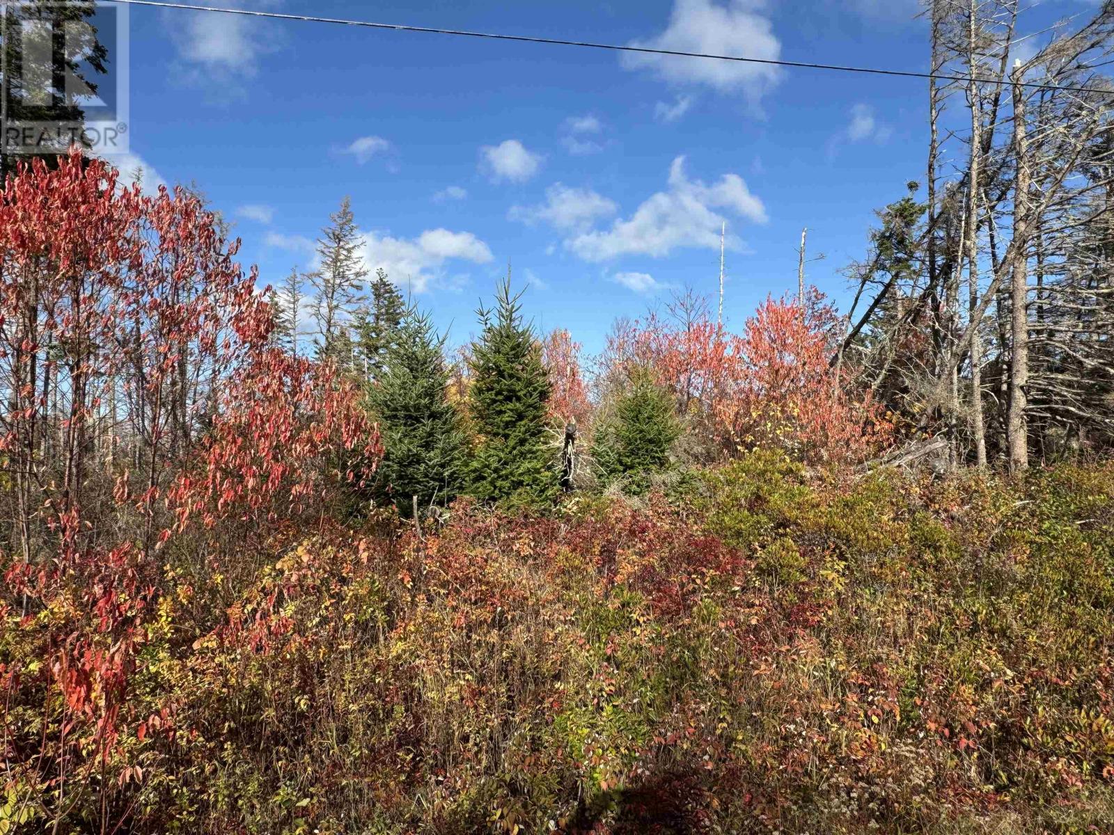 Lot Willow Lane Property Photo 1