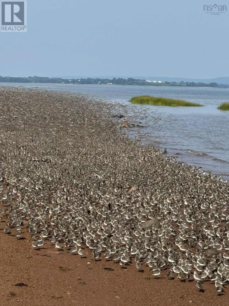 158 Plover Lane Property Photo 17