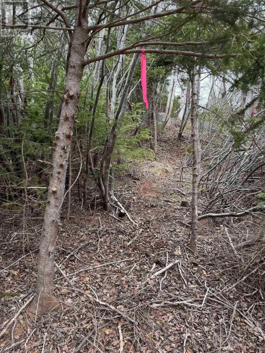 0 16 Highway Property Photo 2