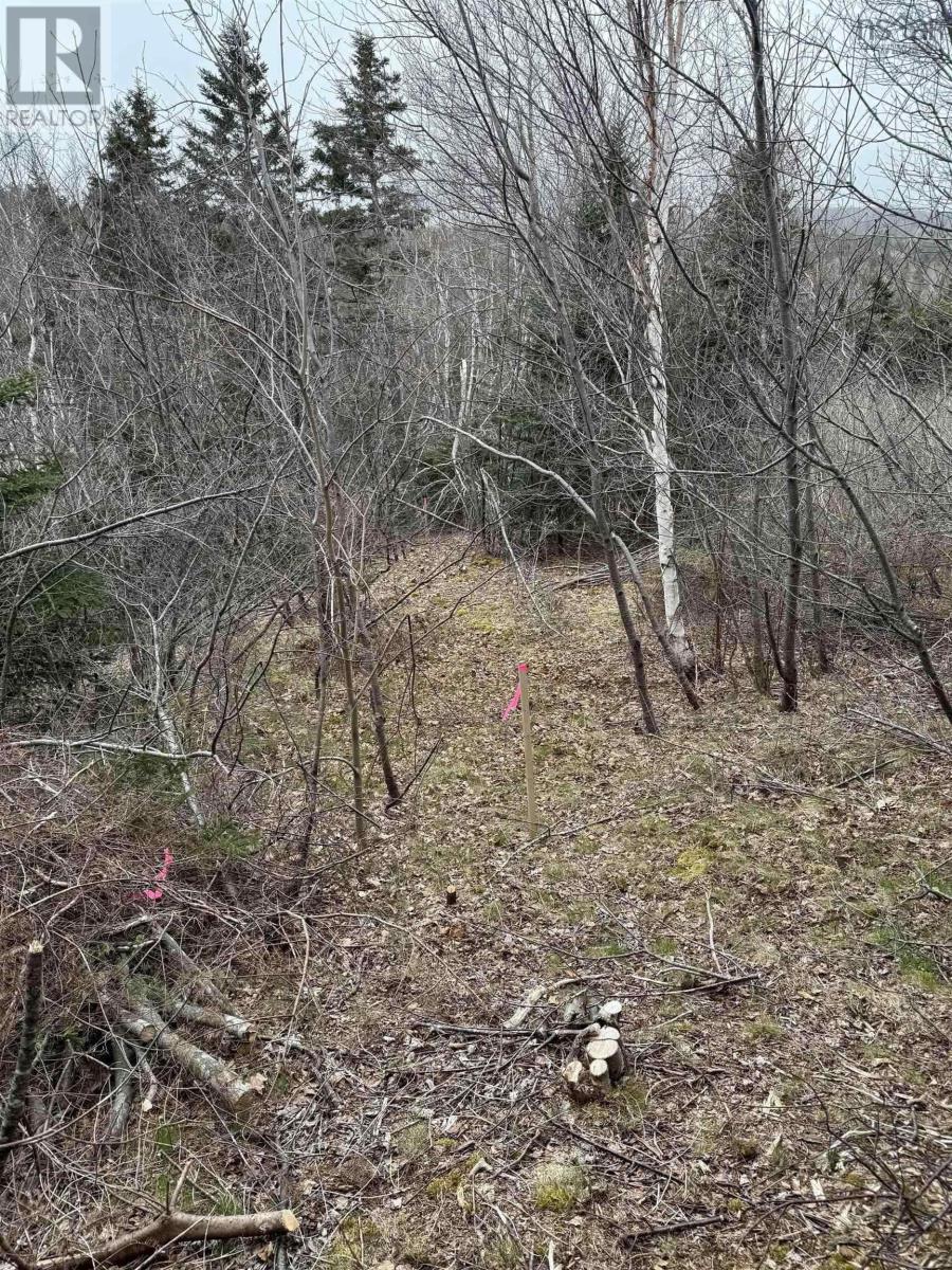 0 16 Highway Property Photo 4