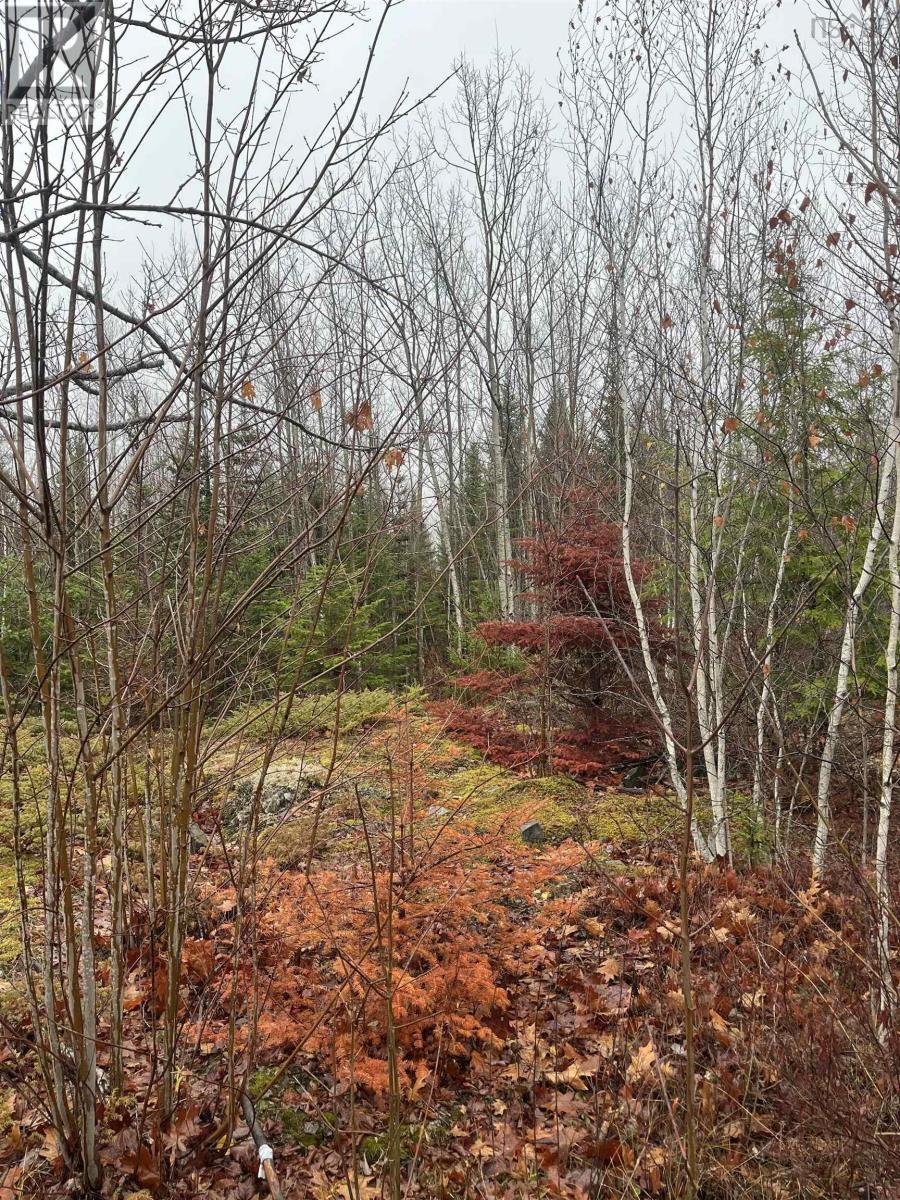 Lot 2021-1 Crocker Road Property Photo 5