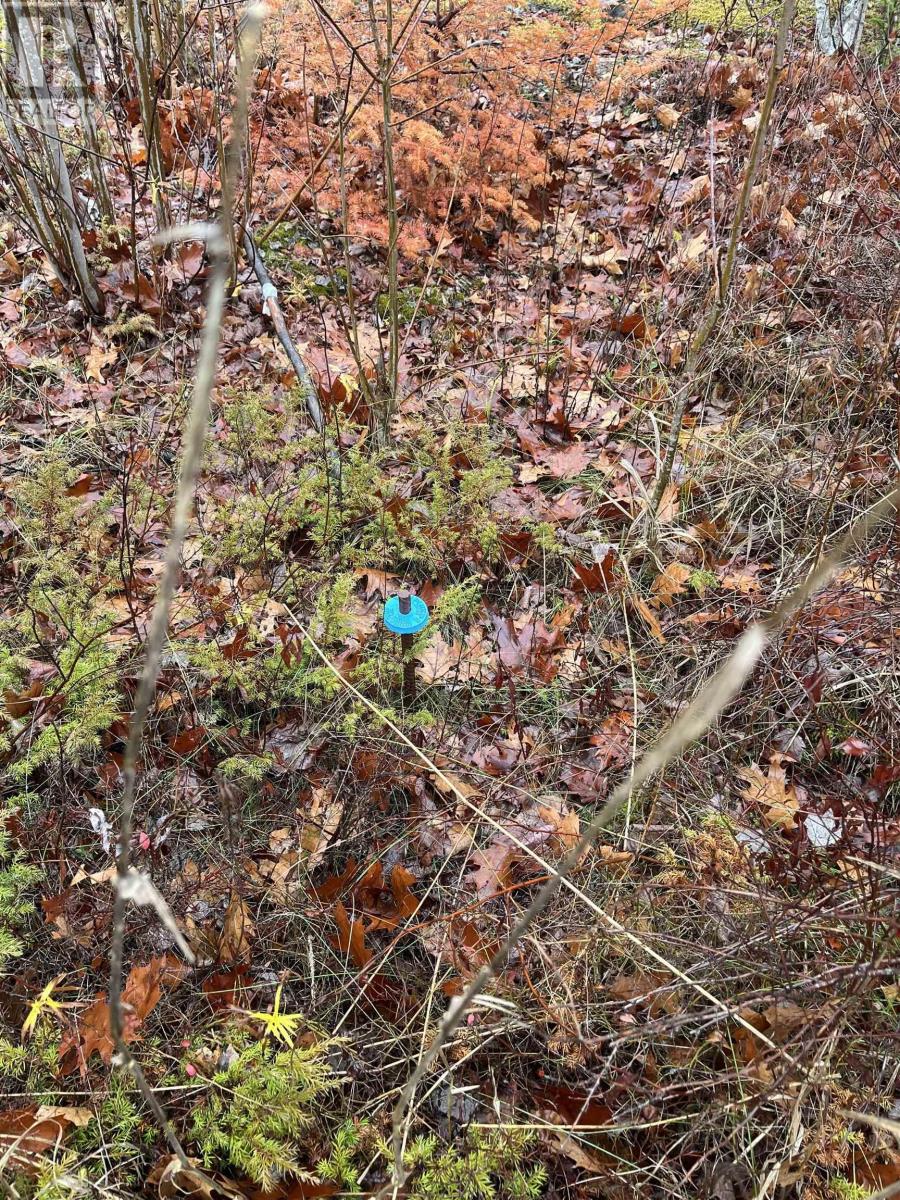 Lot 2021-1 Crocker Road Property Photo 11