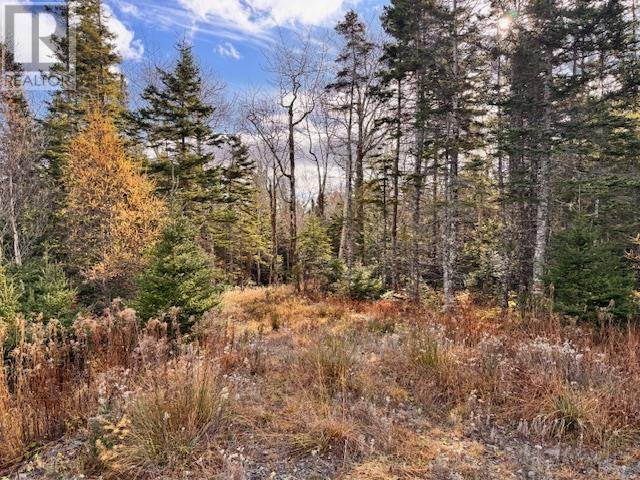 Lot 1a-17 Maple Drive Property Photo 14