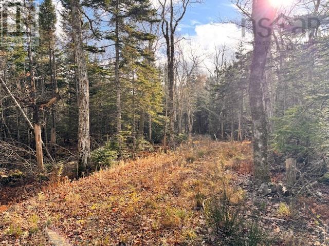 Lot 1a-17 Maple Drive Property Photo 15