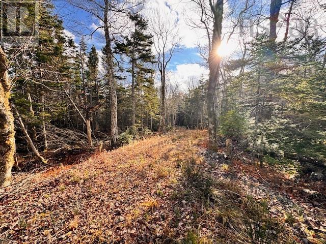Lot 1a-17 Maple Drive Property Photo 16