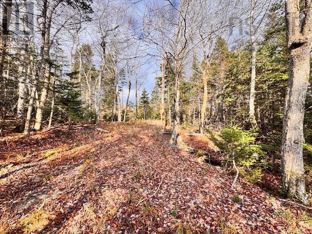 Lot 1a-17 Maple Drive Property Photo 17