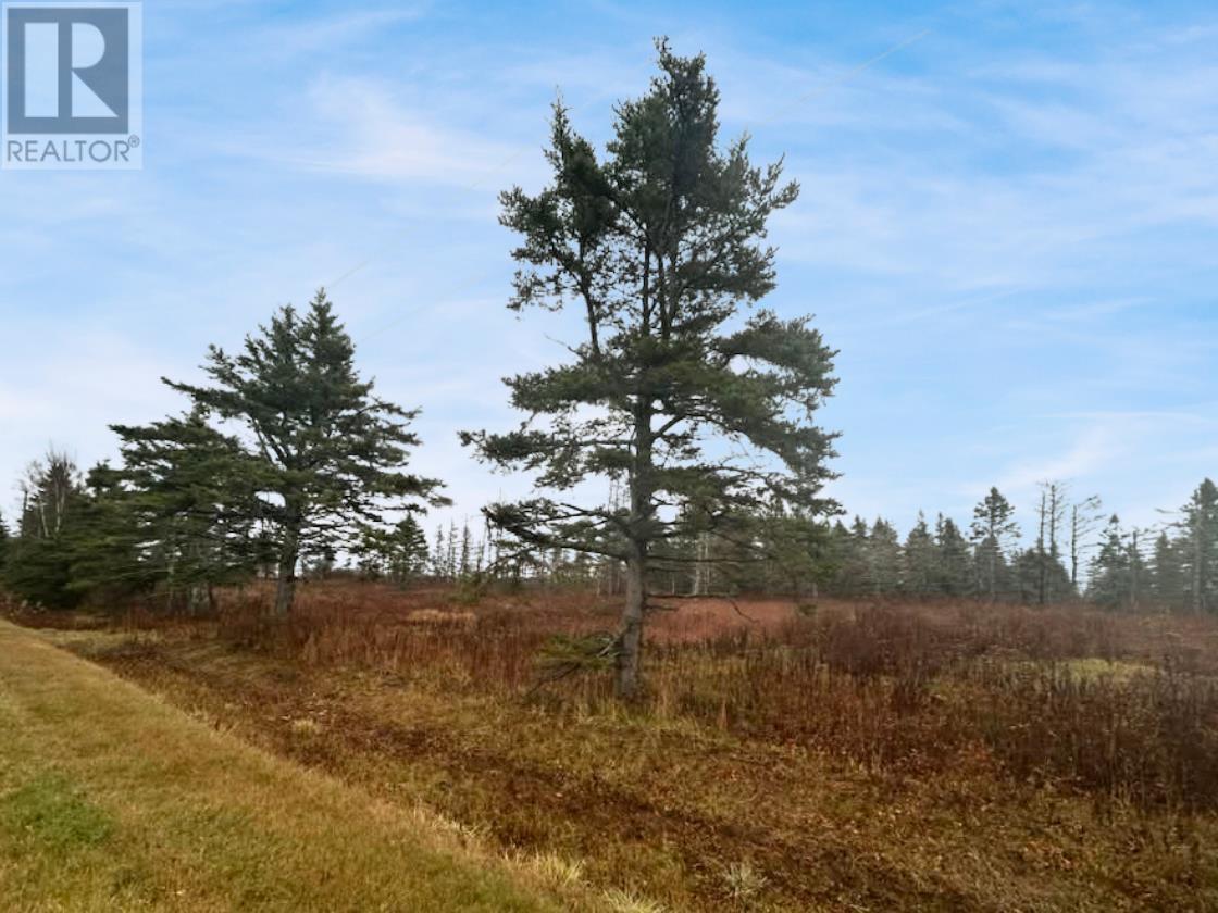 Lot Route 336 Photo de la propriété 1
