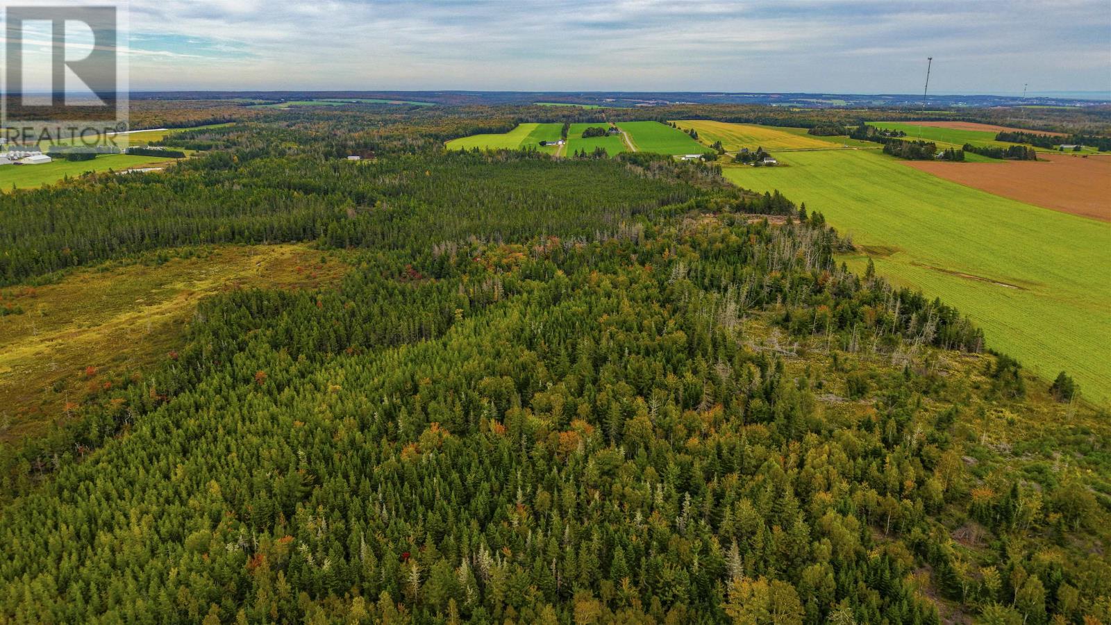 479 Bear River Road Property Photo 4