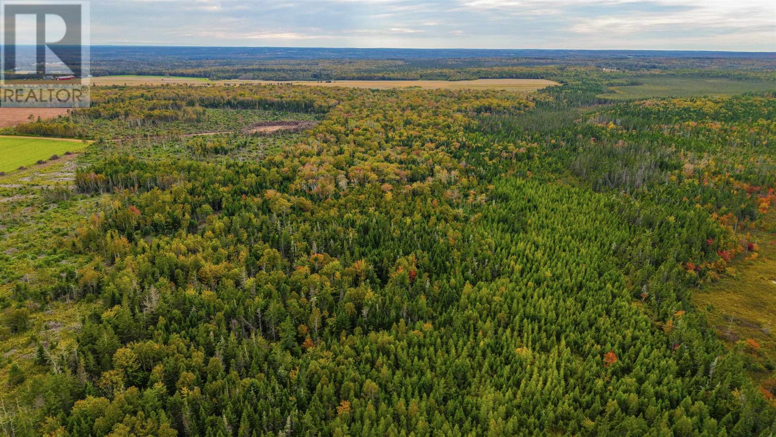 479 Bear River Road Property Photo 5