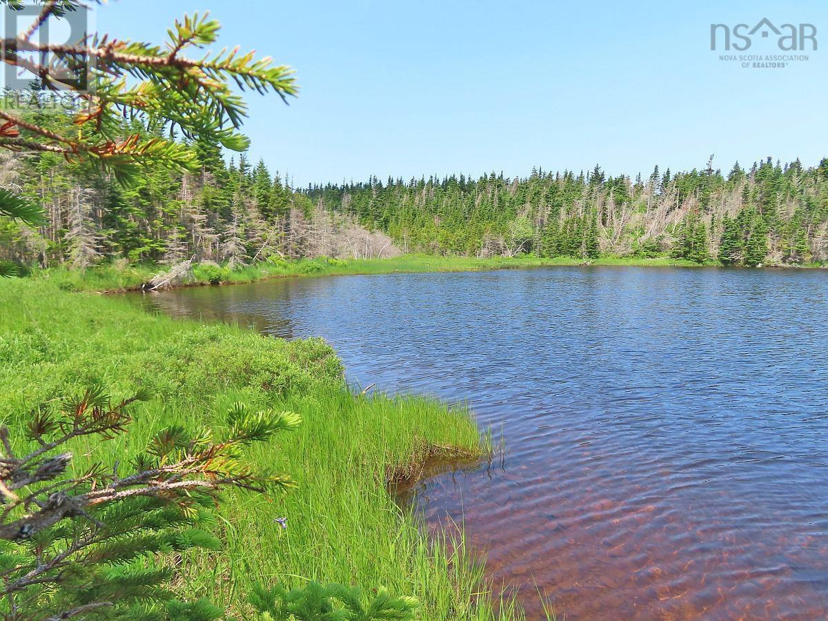 Lot 31 Belfry Lake Road