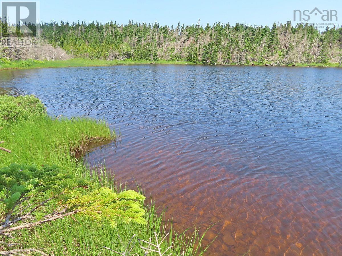 Lot 31 Belfry Lake Road Property Photo 4