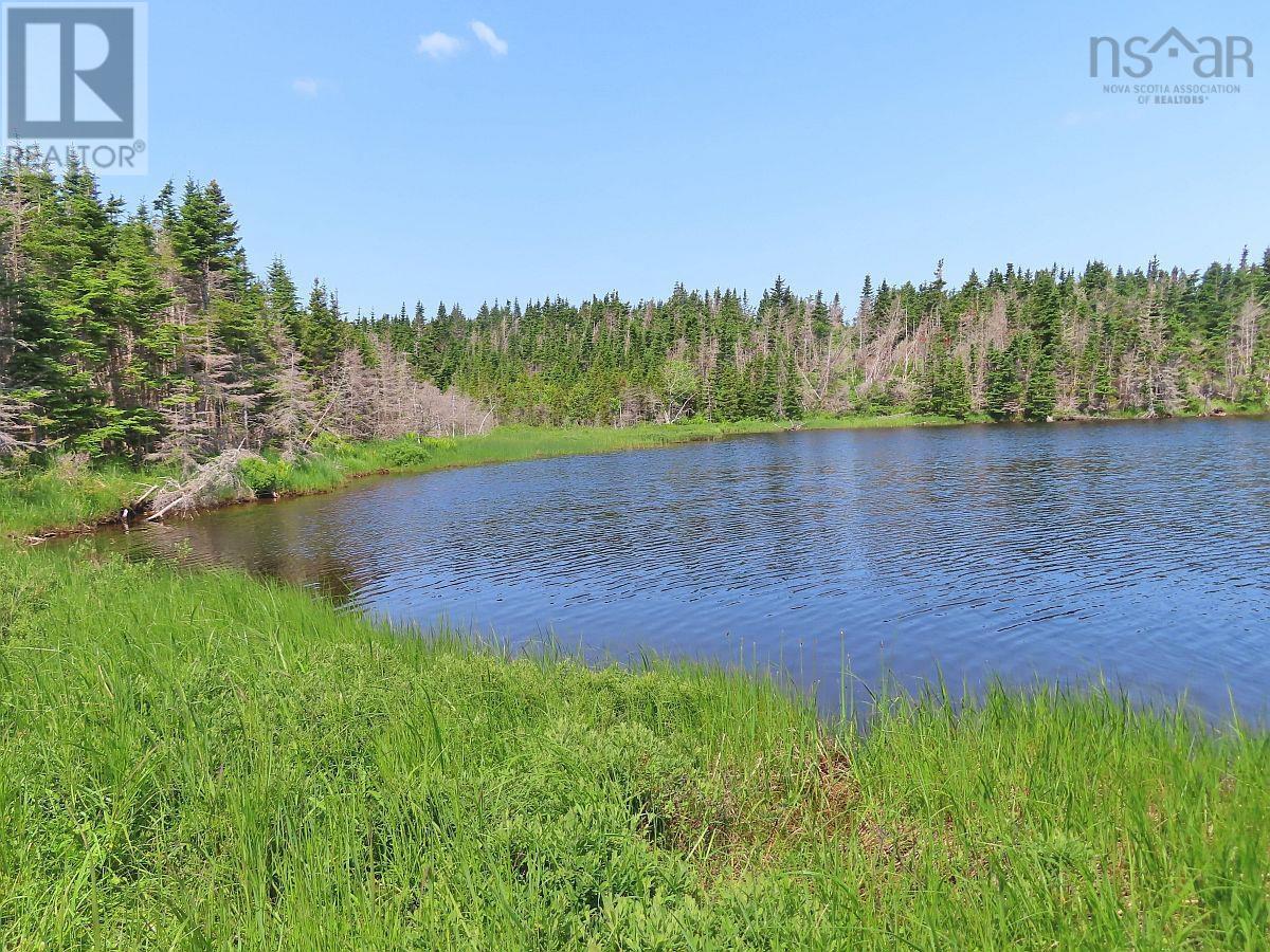 Lot 31 Belfry Lake Road Property Photo 5