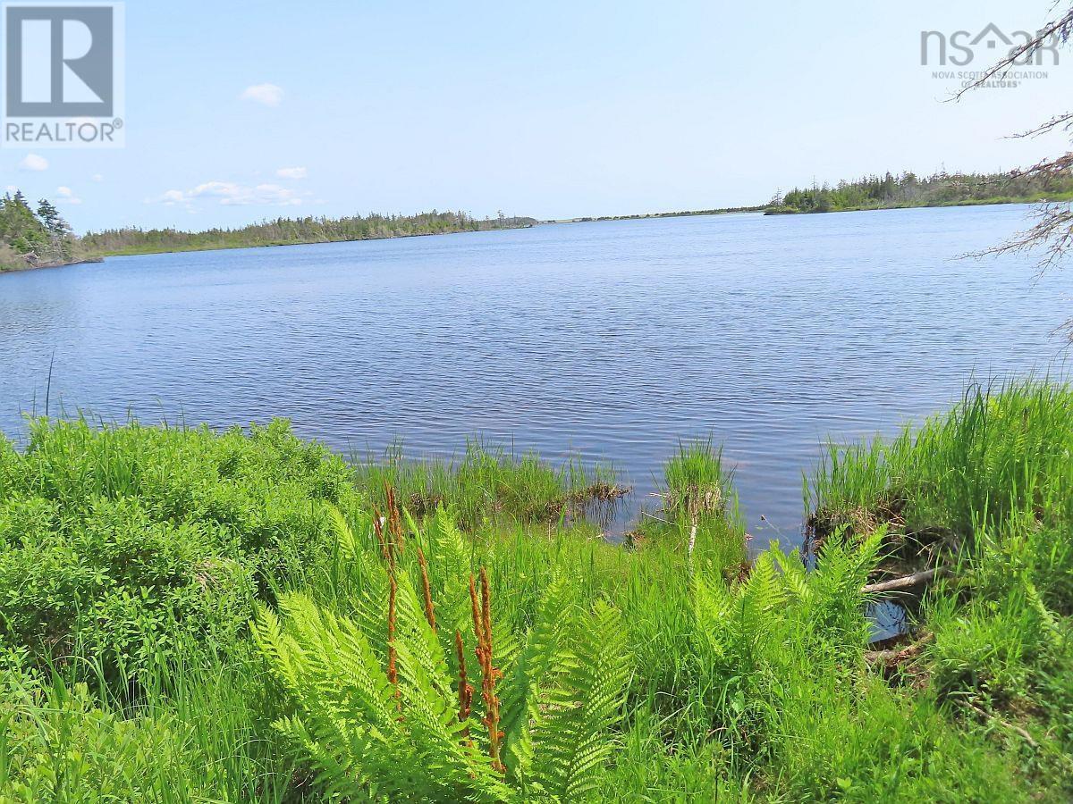 Lot 31 Belfry Lake Road Property Photo 6