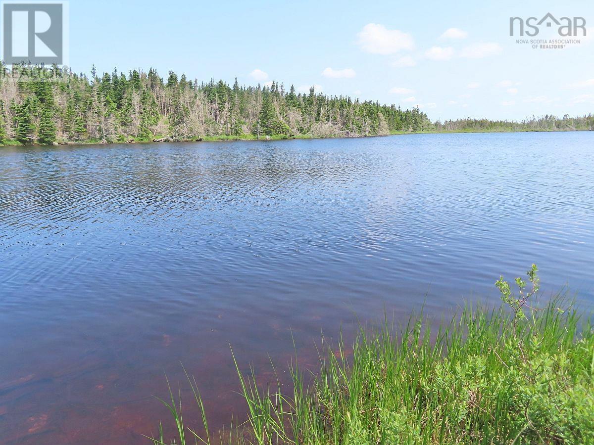 Lot 31 Belfry Lake Road Property Photo 8