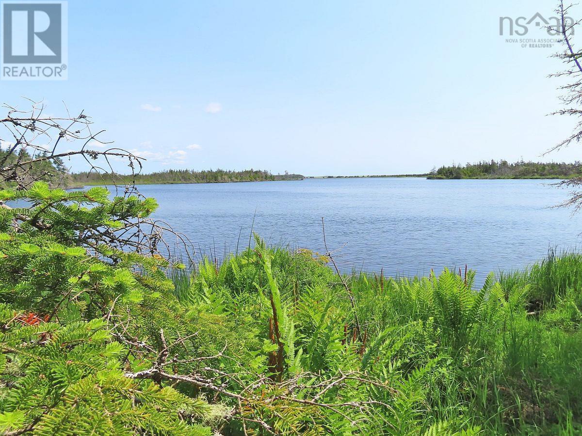 Lot 31 Belfry Lake Road Property Photo 9