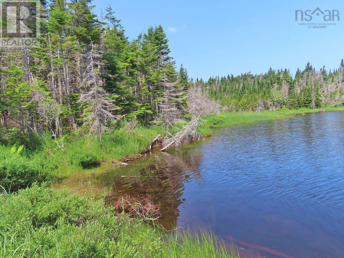 Lot 31 Belfry Lake Road Property Photo 10