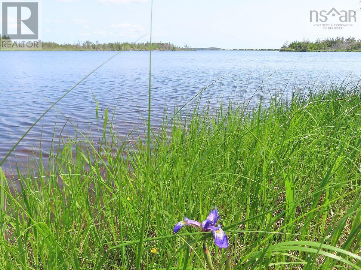 Lot 31 Belfry Lake Road Property Photo 12