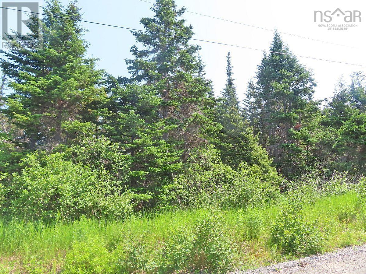 Lot 31 Belfry Lake Road Property Photo 15