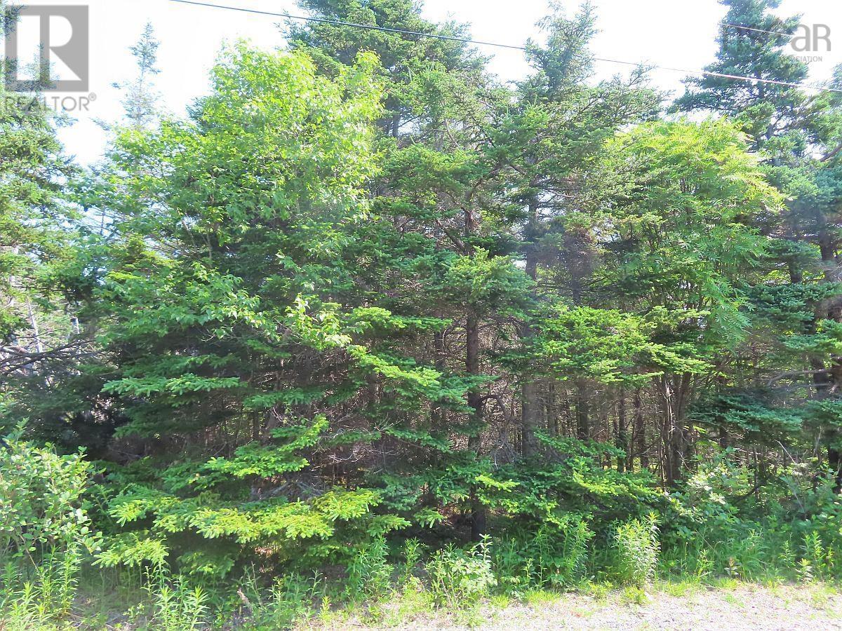 Lot 31 Belfry Lake Road Property Photo 16
