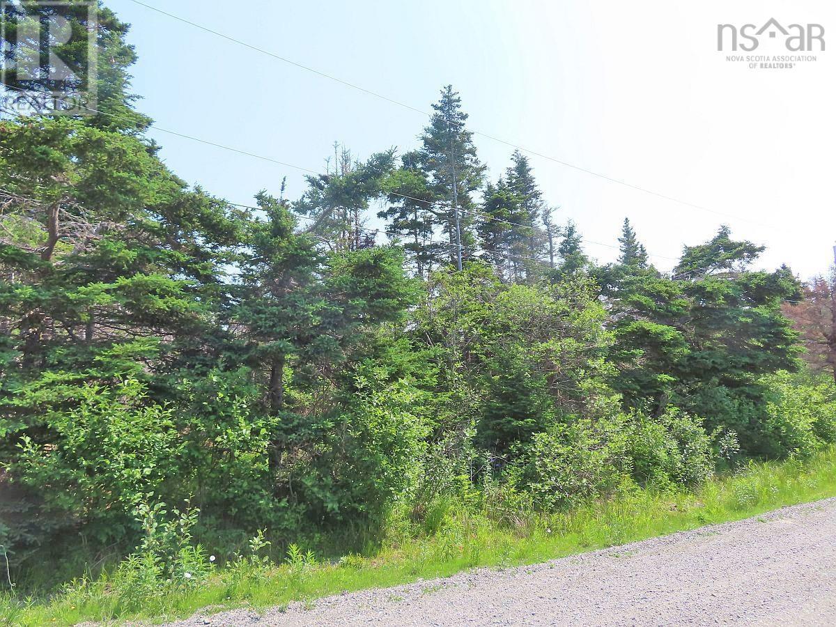 Lot 31 Belfry Lake Road Property Photo 17
